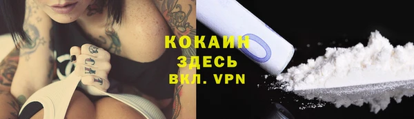 тгк Абаза