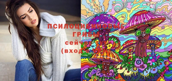 дурь Липки