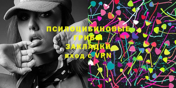 тгк Абаза