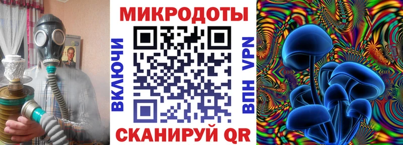 Псилоцибиновые грибы MAGIC MUSHROOMS  darknet наркотические препараты  Кисловодск  mega маркетплейс 