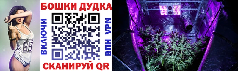 как найти закладки Кисловодск Каннабис гибрид